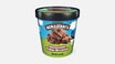Ben & Jerry's Chocolate Fudge Brownie
